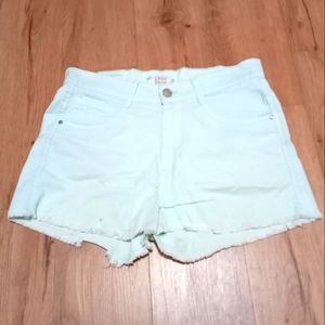 Pastel Turqouise Shorts
